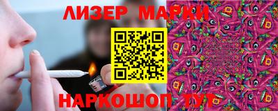 a pvp Свободный