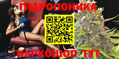стаф Севастополь
