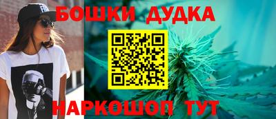 a pvp Свободный