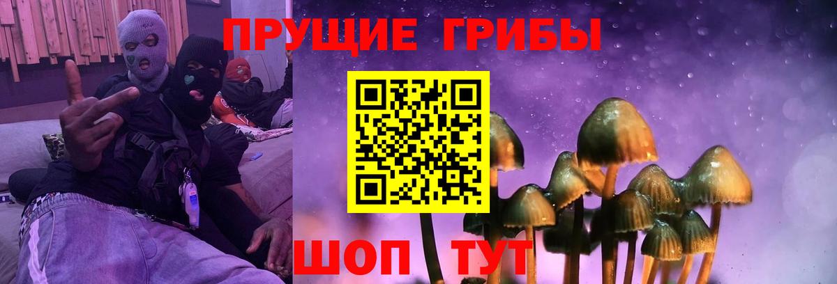 Хасавюрт  Галлюциногенные грибы Psilocybe  Вход с VPN 